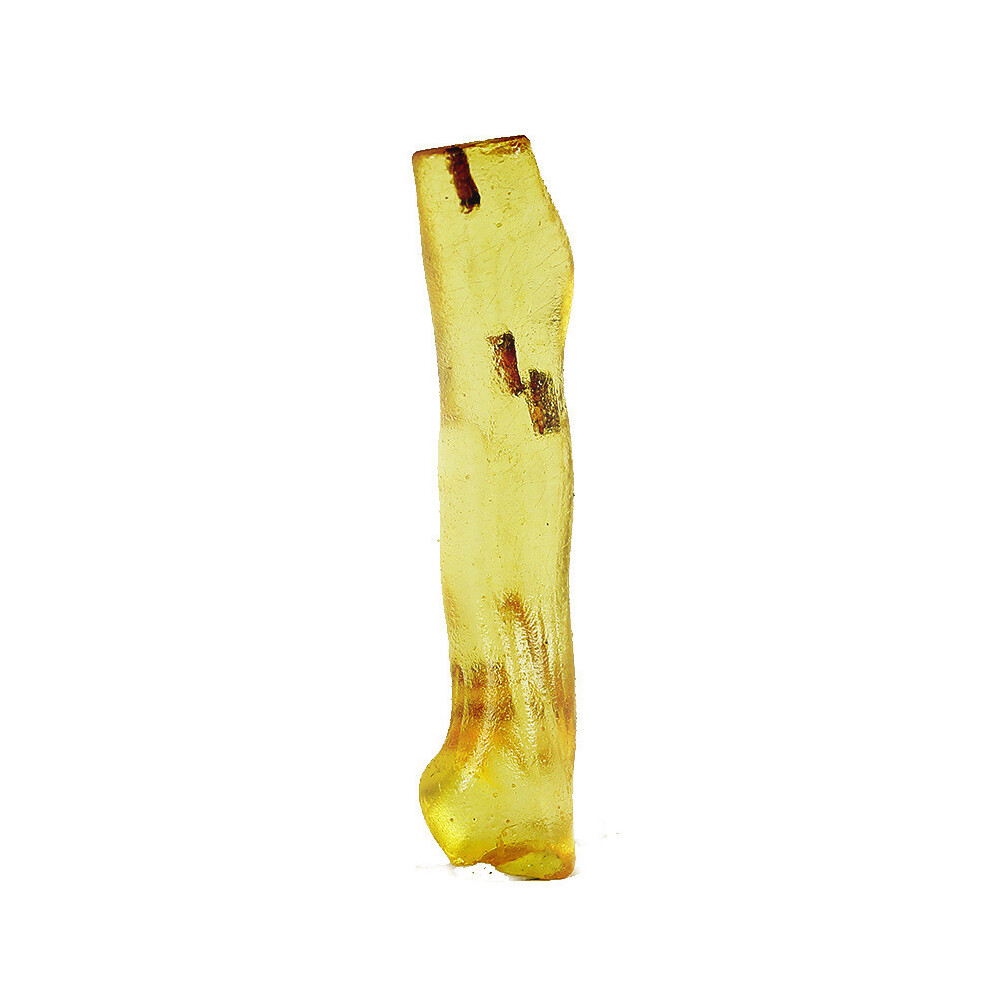 (3-4Cm) Natural Insect 1Pcs Mineral Crystal Geological Collection Specimen Amber/Yellow