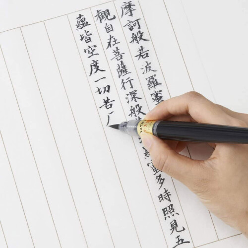 Pentel Pentel Fude Pinselstift Sukiho (XFL2V) 2