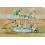 PLAYMOBIL Playmobil Wiltopia: ????a ??? t?? ??st?a??a? 5