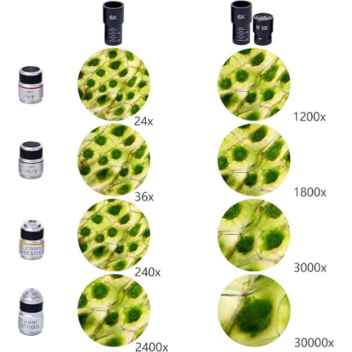 Binocular Microscopes, 200X-5,000X Compound Biological Microscopes With 6x Multiplier, Slides Set & Phone Adapter for Students 2