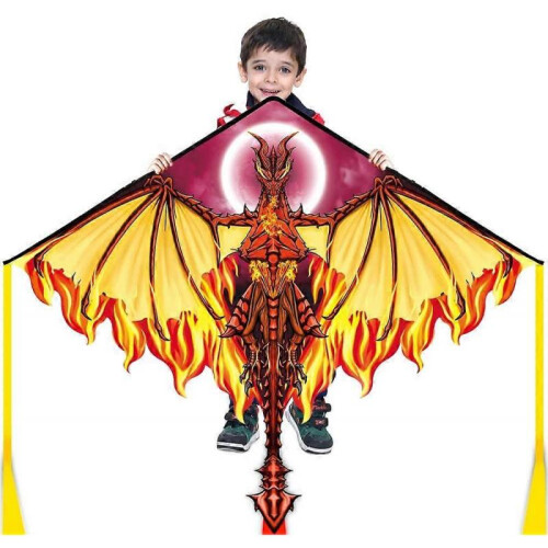 Dragon Kite , Easy to Fly Best Delta Beach Kite, 300ft Kite String