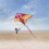Dragon Kite , Easy to Fly Best Delta Beach Kite, 300ft Kite String 4