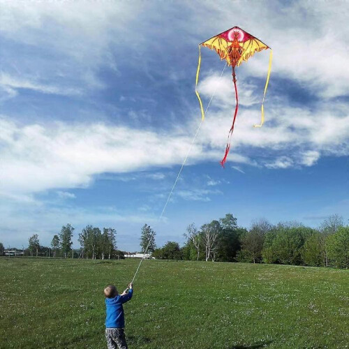 Dragon Kite , Easy to Fly Best Delta Beach Kite, 300ft Kite String 1