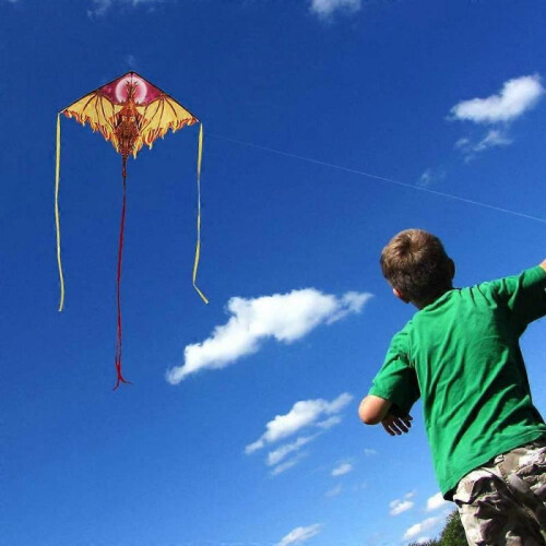 Dragon Kite , Easy to Fly Best Delta Beach Kite, 300ft Kite String 2