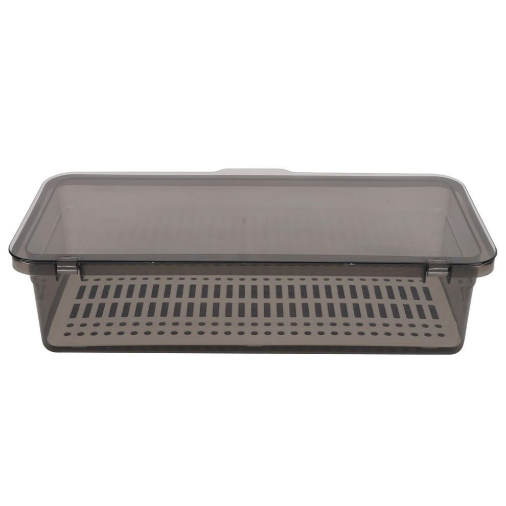 Nail Art Brush Storage Box Professional Portable Nail Art Tool Dust Brush Organizer Box for Home