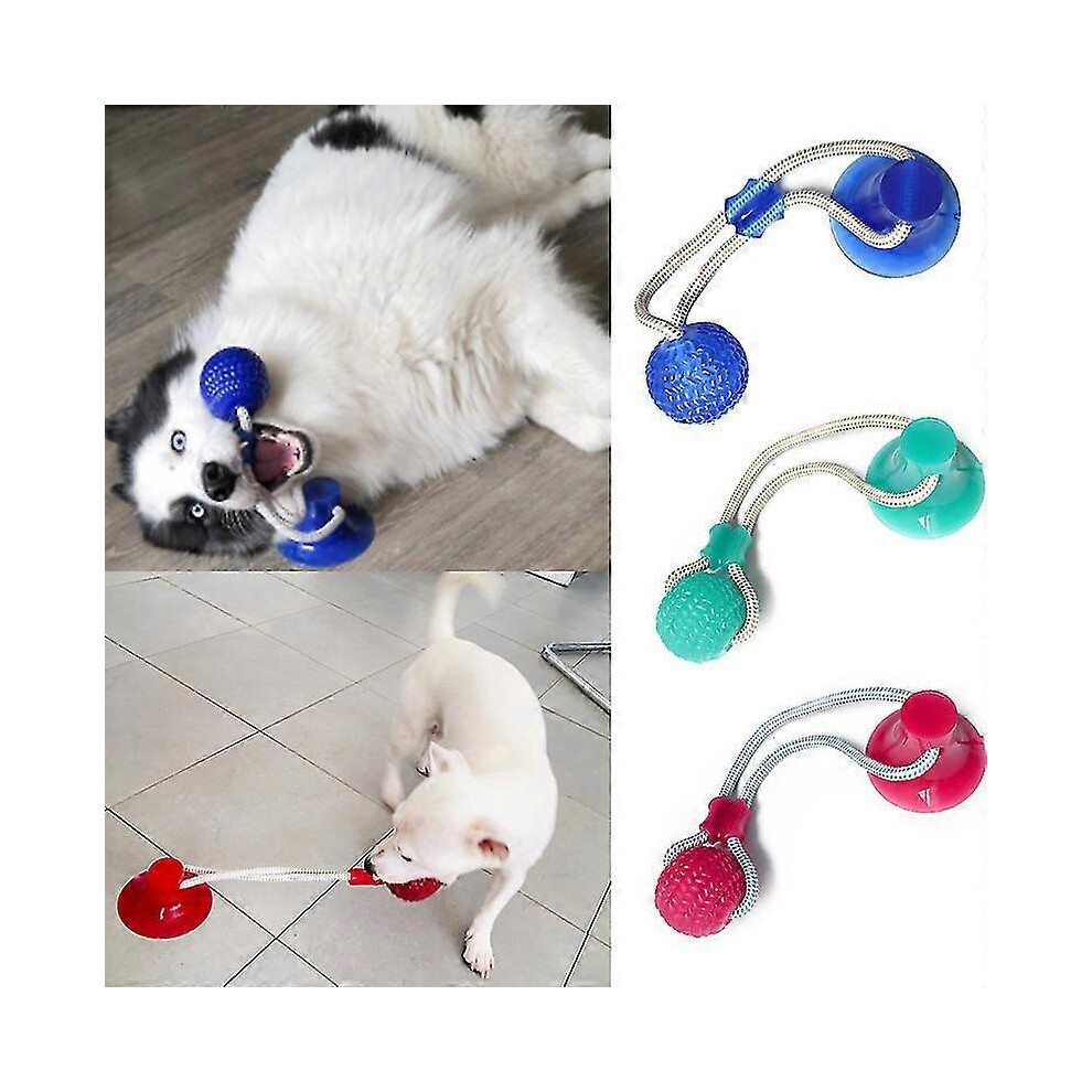 Dog Toys with Interactive Suction Cups, Ball Toys, Chew Toys, Elastic Ropes and Teeth Cleaning