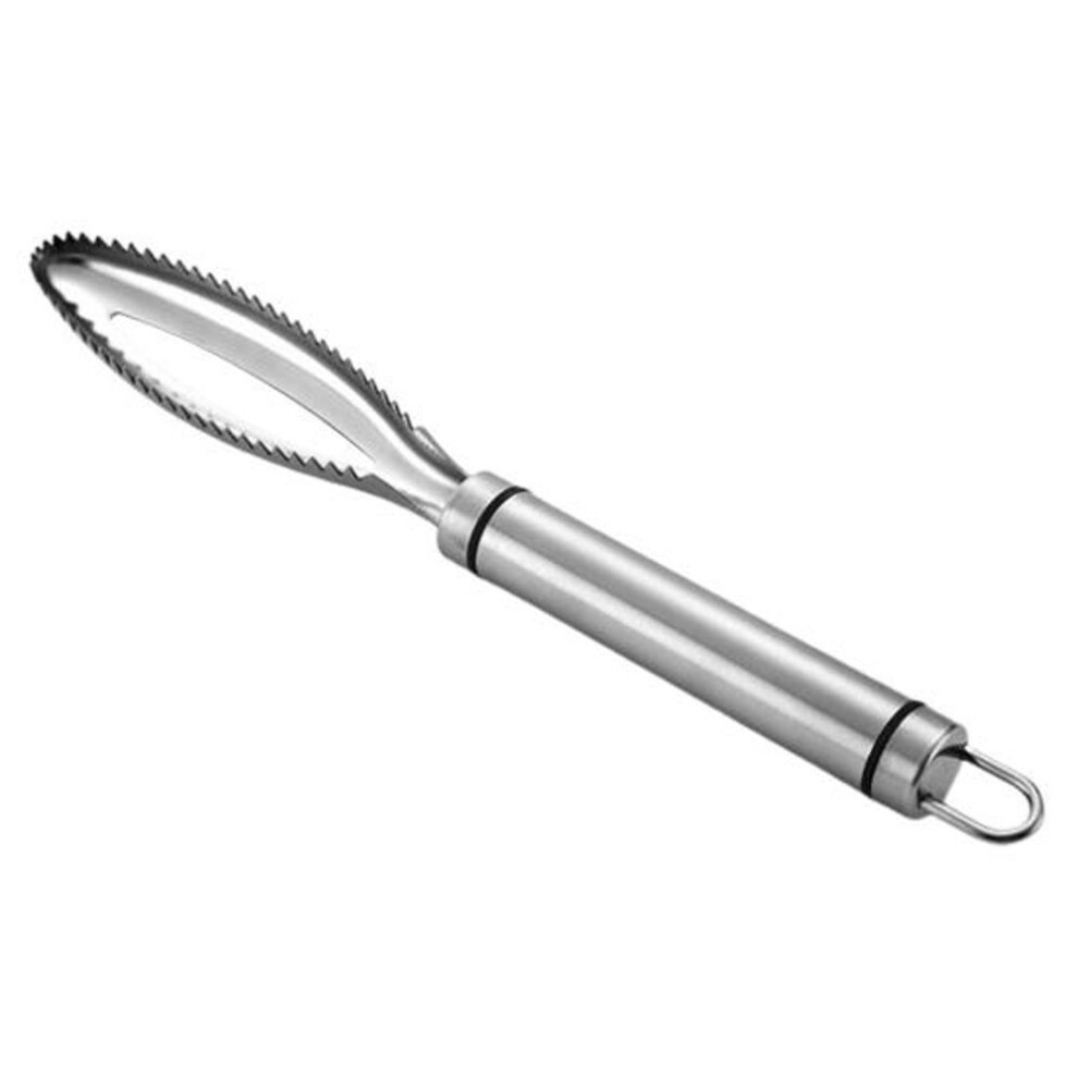 Fish Scale Scraper Ergnomic Design Non-Slip Manual Fish Scale Remover Seafood Tools