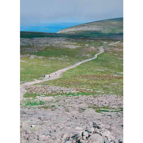 The Munros  - A Walk highlands Guide: First Edition 2