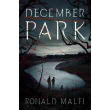 December Park by Ronald Malfi Paperback Book