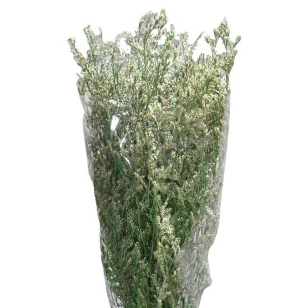(green) 1 Branch Dried Grass Decorative Fantastic Artistic Fresh Keeping Dried Grass Home Decor