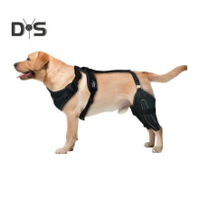(XL, as the picture) Dogs Knee Brace for Back Leg Dog Hip Knee Leg Brace ACL Support for Hip Dysplasia Dog Arthritis Luxating Patella
