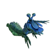 (blue,green) Mantis Shrimp Fidget Toy for Anxiety Relief Colorful Desktop Decor with Movable Joints And Retractable Claws 3D Printed Articulated Shrimp Figurine