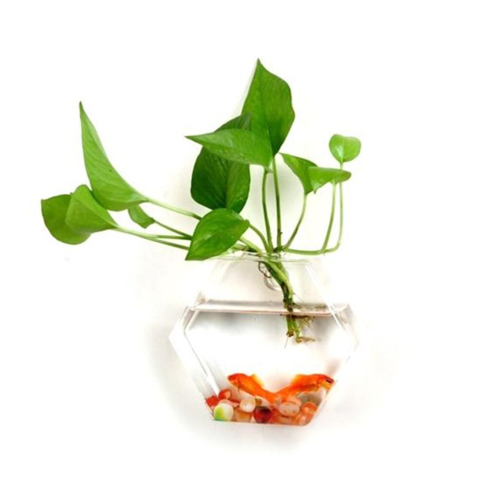 (B) Easy Filling Hydroponic Vase Round Shape Durable Wall Hanging Flower Planter Pot