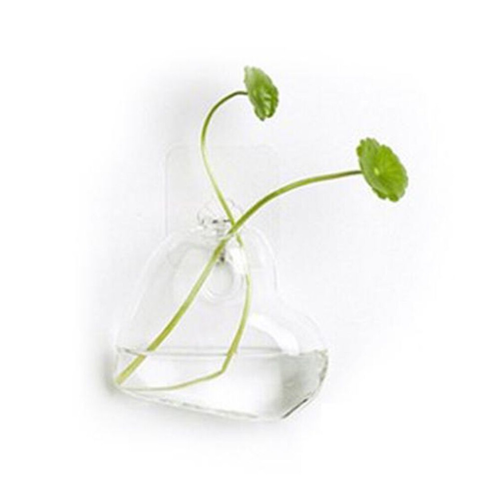 (H) Easy Filling Hydroponic Vase Round Shape Durable Wall Hanging Flower Planter Pot