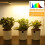LED Plant Grow Light Strips Full Spectrum 5