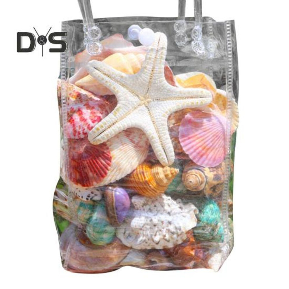 (as the picture, B) 1 Bag Natural Seashells Mixed Ocean Shells Starfish Conch Various Sizes Seashells Set for DIY Crafts Beach Theme Party Fish Tank Filling