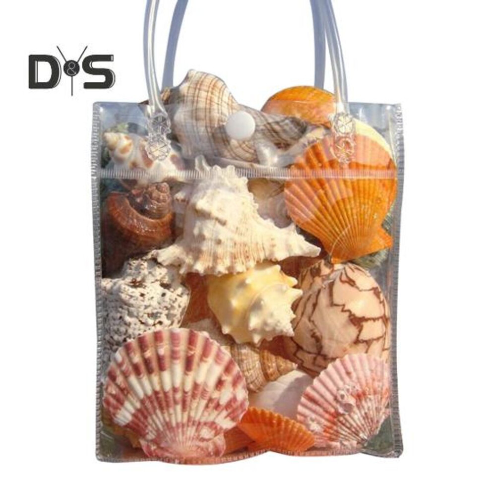 (as the picture, A) 1 Bag Natural Seashells Mixed Ocean Shells Starfish Conch Various Sizes Seashells Set For Diy Crafts Beach Theme Party Fish Tank Filling