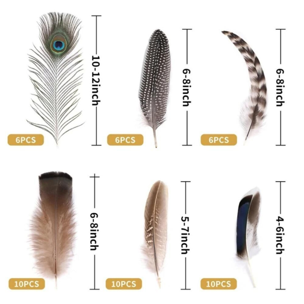 (48Pcs) 40/48pcs Long Mixed Feathers Assorted Pheasant Plumage Natural Feathers Bulk  Handmade Dream Catcher