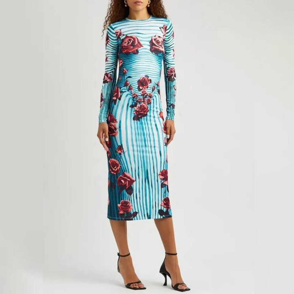 (sky blue, S) Summer Women Rose Printed Stripe Temperament Slim Package Hip Long Sleeve Long Dresses