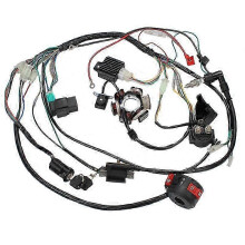 (As show, One size) Motorcycle ATV Quad Pit Bike Go Kart Full Complete Electrics Wiring Harness CDI STATOR 6 Coil compatible with 50-125CC