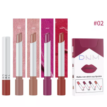 4pcs/Set DNM Cigarette Lipstick Matte Velvet Long Lasting Waterproof Makeup #02