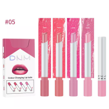 4pcs/Set DNM Cigarette Lipstick Matte Velvet Long Lasting Waterproof Makeup #05