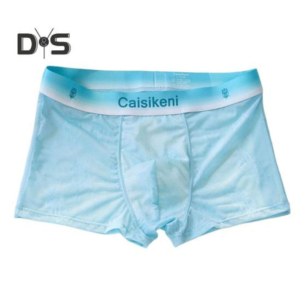 (XL, blue) Men Boxer Briefs Breathable Sexy Fine Mesh Underpants with Cotton Crotch Stretchy Thin Men Underwear for Daily Wear