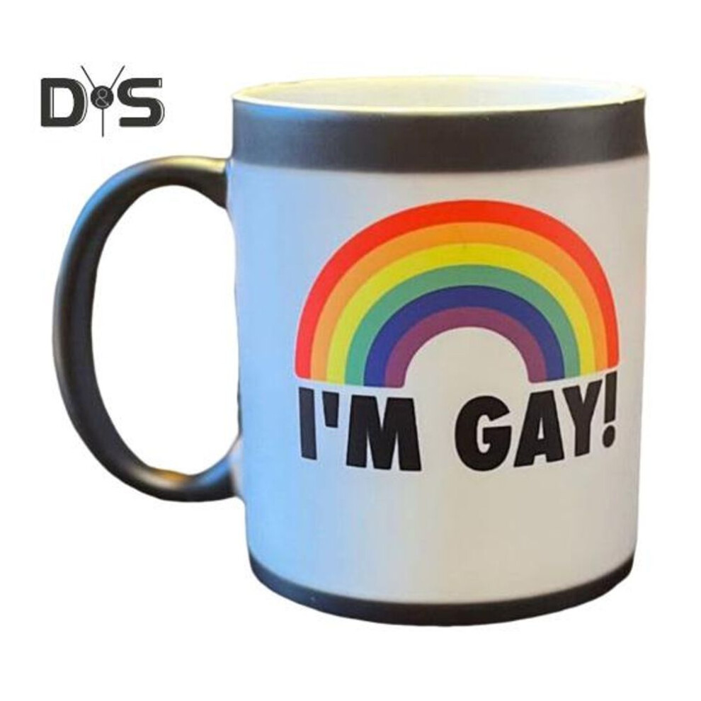 (as the picture, A) Rainbow Heat Change Mug 11oz I'm Gay Funny Rude Cup Message Reveals As It Heats Creative Ceramic Coffee Cup Best Novelty Gag Gift For Birthday Wedding