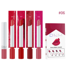 4pcs/Set DNM Cigarette Lipstick Matte Velvet Long Lasting Waterproof Makeup #06