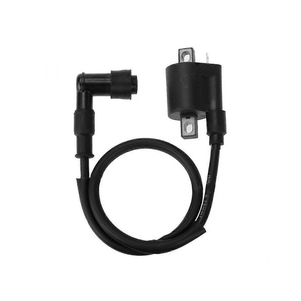 Ignition Coil For 125Cc 150Cc 200Cc 250Cc Atv Go Kart Moped Pit Dirt Bike 3247719388464
