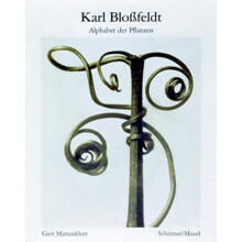 Karl Blossfeldt Alphabet of Plants by Photographs by Karl Blossfeldt P