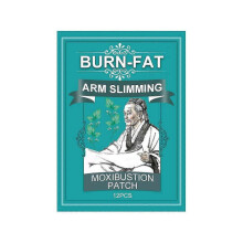 Thin Arm Moxibustion Patch for Lazy Beauty Removal Warm Moxibustion And Hot Moxibustion Patch PU4842