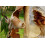 SAFLAX Anzucht Set - Schnee-Eucalyptus - Eucalyptus - 250 Samen 5