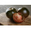 SAFLAX Anzucht Set - Tomate - Black Cherry - Solanum - 10 Samen 7