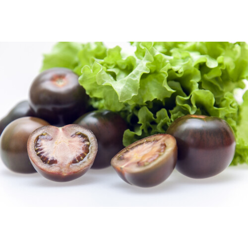 SAFLAX Anzucht Set - Tomate - Black Cherry - Solanum - 10 Samen 2