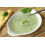 SAFLAX Anzucht Set - Sauerampfer - Rumex - 400 Samen 4