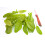 SAFLAX Anzucht Set - Sauerampfer - Rumex - 400 Samen 8