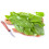 SAFLAX Anzucht Set - Sauerampfer - Rumex - 400 Samen 7