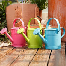 (As show, One size) 1.5L Iron Watering Can Home Bonsai Plants Shower Gardening Garden Watering Kettle Spray Bottle Photo Props