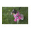 Simplicity 1239 Dog Coat Sewing Pattern  Fits Small  Medium  and Large Size Dogs 2