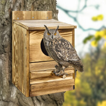 Outdoor Screech Owl House Wooden Nesting Box with Perch Bird House