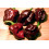 SAFLAX  - Chili – Chocolate - Capsicum - 10 Samen 2