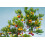SAFLAX  - Erdbeerbaum - Arbutus - 50 Samen - Mit Substrat 5