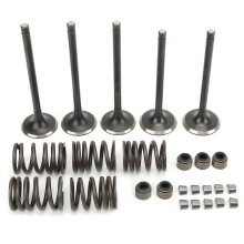 (As show, One size) Cylinder Head Intake Exhaust Valve Kit Replacement for YAMAHA GRIZZLY 660 YFM660F 4WD 20022008