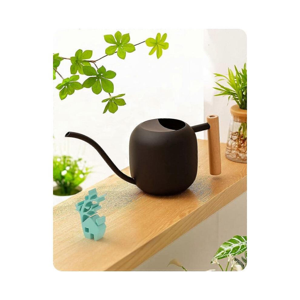 Indoor Watering Can, 1.2L Stainless Steel House Bonsai Watering Can with Wooden Handle, Metal Garden Watering Can with Long Spout (Black)