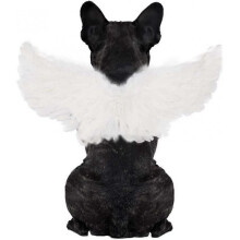 Pet Halloween Costume Cosplay Angel Devil Black White Wing for Dog Cat Rabbit Piggy - Funny Gift at Halloween Party