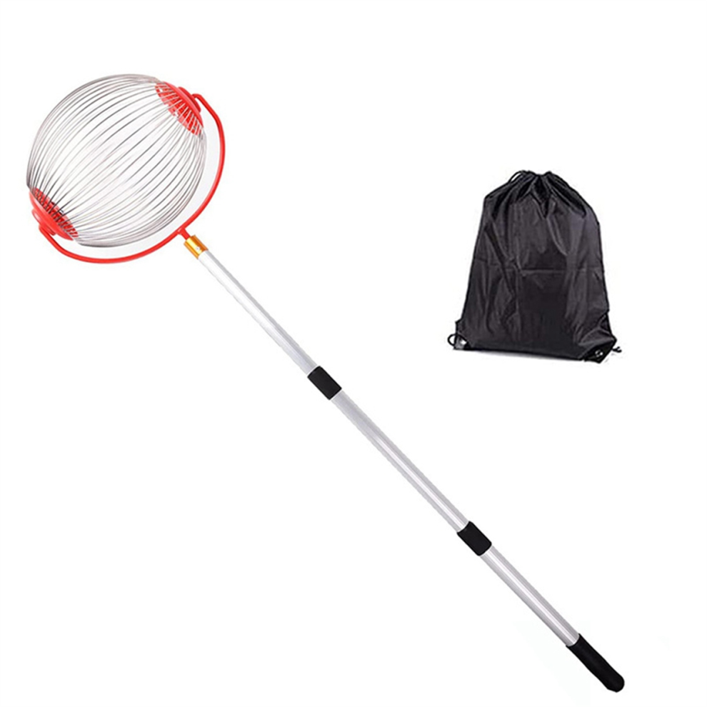 Ramasse-noix de jardin en acier inoxydable, tambour adapté à la collecte des déchets de pommes de pin et de noix, petite boule