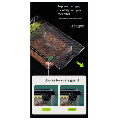 Curated visual reference: Fresh Look at Transparent Reptile Feeding Box Amphibian Insect Breeding Ventilation