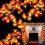6 Pack Maple Leaves Garland String Light Fall Decor,Total 60Ft/120LED Thanksgiving Halloween Decorations 1