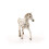 Schleich Schleich Horse Club S???e?t??? ?a????d?a ?????? ??a ????ts?a ?a? ?????a Knapstrupper ?a????d? ?????? ?e ????de? ?a? ?p???t??e? ?????e? 5+ 2